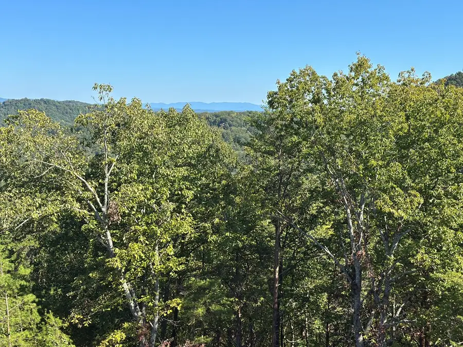 185 Stirratt Road, Ranger, GA 30734 - Image #3