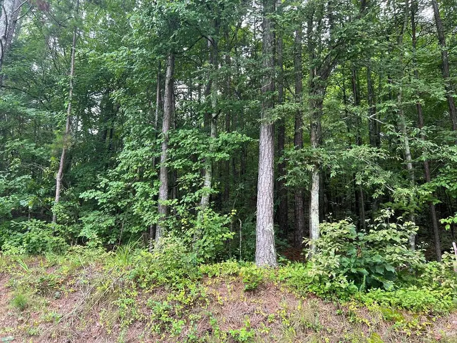 119 NW Kirk Road, White, GA 30184 - Image #2