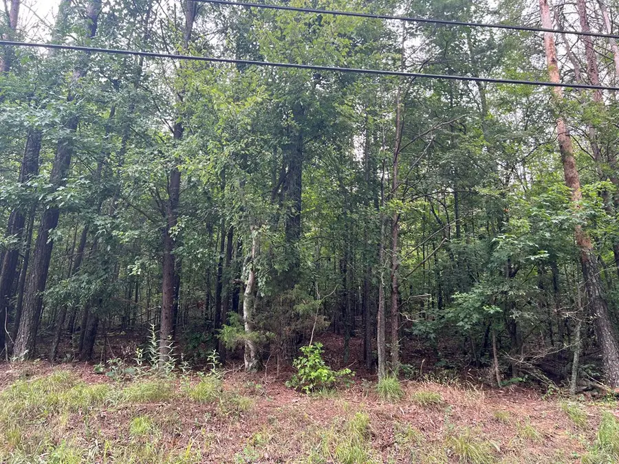 119 NW Kirk Road, White, GA 30184 - Image #3