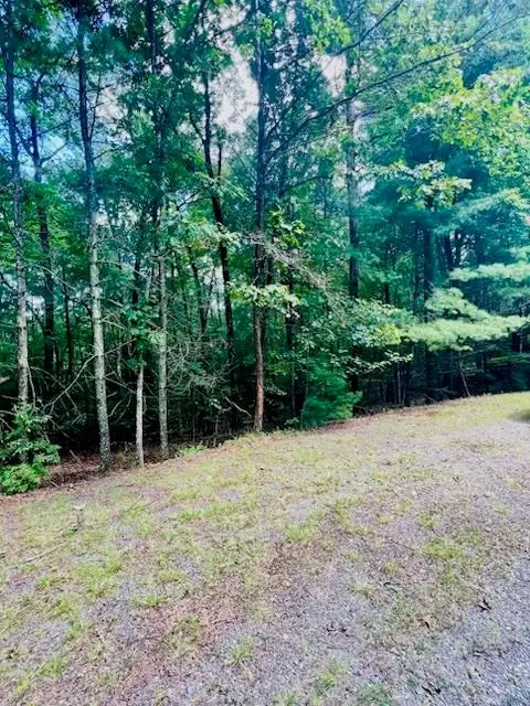 Lot 42 Squirrel Hunting Road, Ellijay, GA 30540