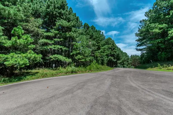 Lot 26 Foxpaw Leaf Lane, Ellijay, GA 30536