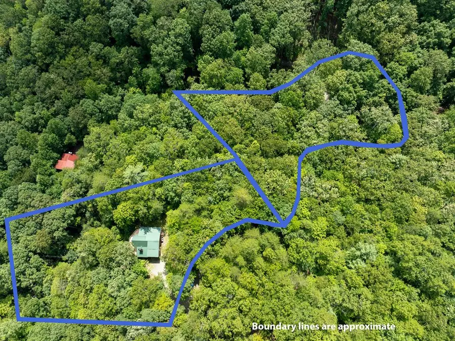 476 Prince Mountain Road, Cherry Log, GA 30522 - #2