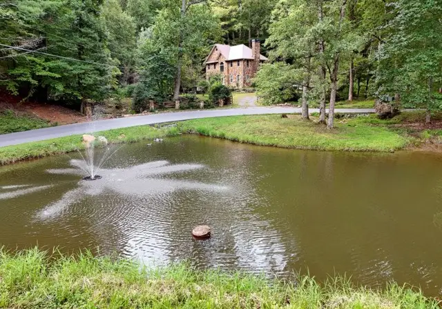 3360 Turniptown Road, Ellijay, GA 30536 - Image #3