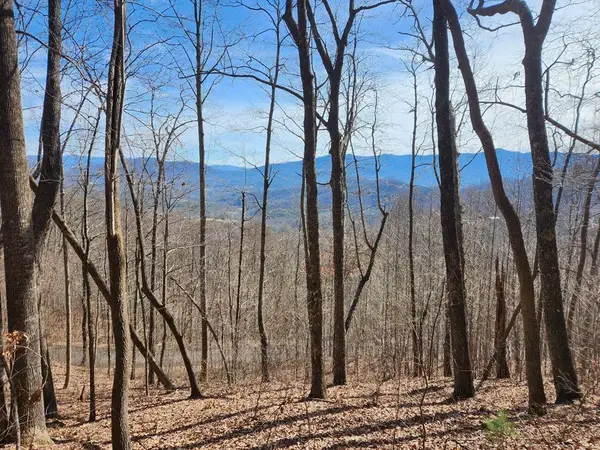 #28 The Overlook At Young Harris, Young Harris, GA 30582