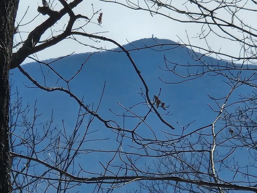 #28 The Overlook At Young Harris, Young Harris, GA 30582 - Image #2