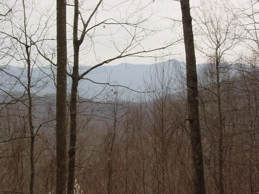 #28 The Overlook At Young Harris, Young Harris, GA 30582 - Image #3