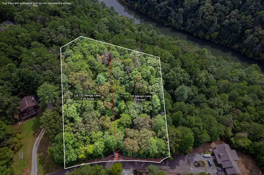 2.5 AC Mango Lane, Ellijay, GA 30540 - Image #3