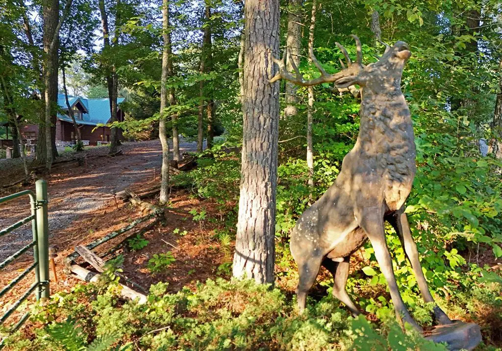 2682 Douthit Road, Mineral Bluff, GA 30559 - #1