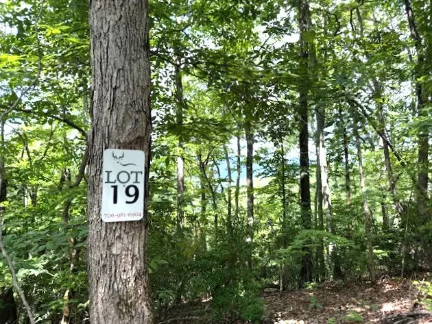 #3