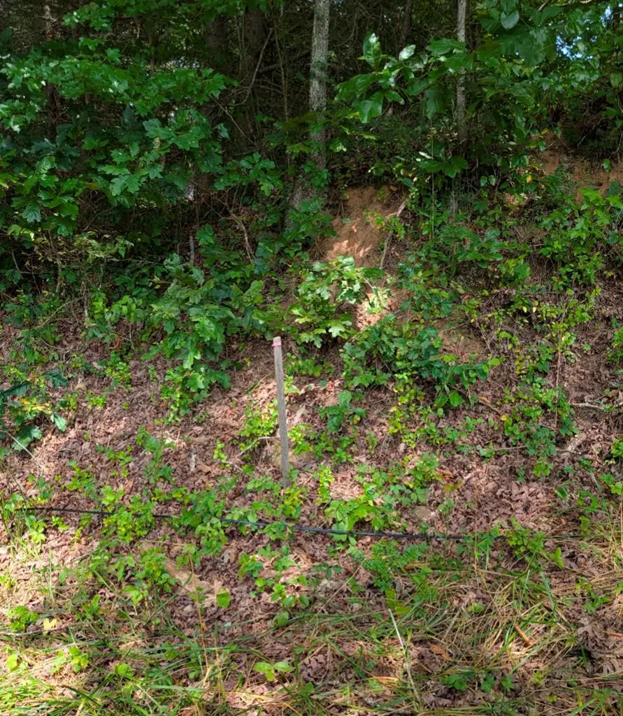 6.0 Old River Camp Road, Polk, TN 37317 - #2