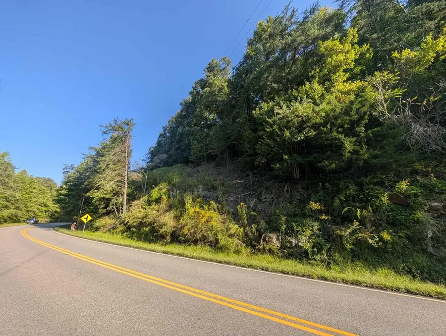 7.12 Russell Scenic Hwy, Blairsville, GA 30512 - Image #3