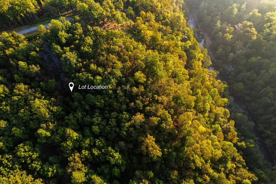 Lot 290 Anglers Ridge Road, Talking Rock, GA 30175 - Image #3