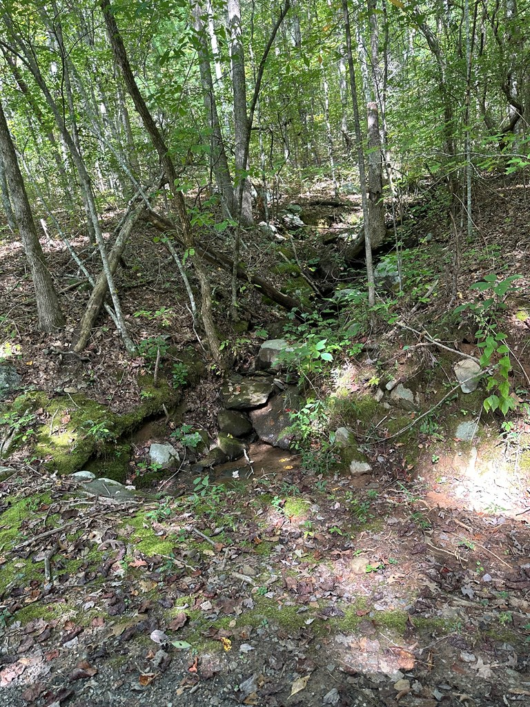 Tr 1 Burning Ember, Murphy, NC 28906 - Image #2