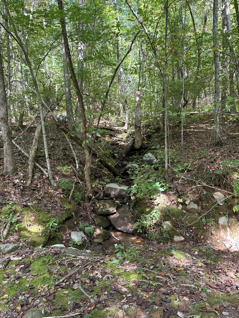 Tr 1 Burning Ember, Murphy, NC 28906 - Image #3