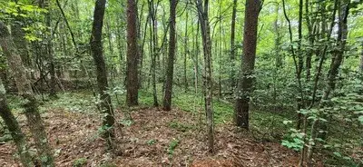#3