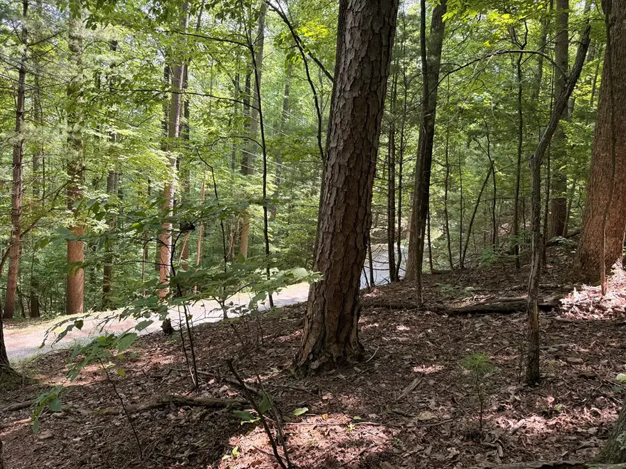 #3