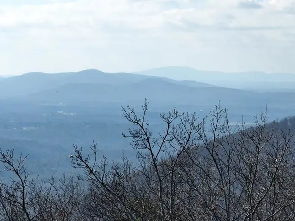 246 Andes Ridge, Ellijay, GA 30536