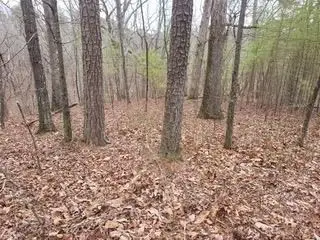 #3