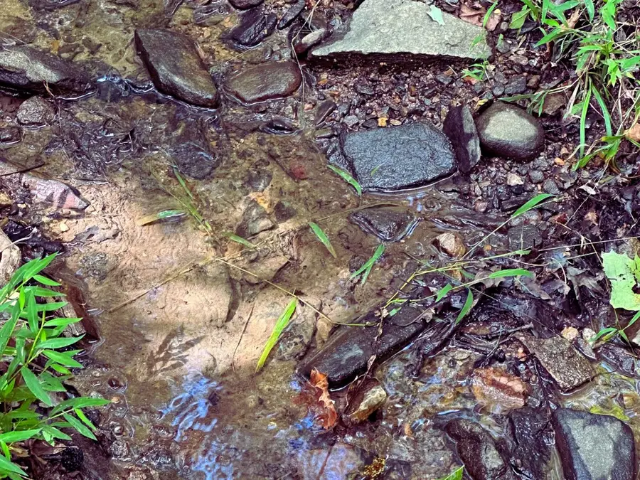 Lot 57 Asheland Cove Drive, Young Harris, GA 30582 - Image #3