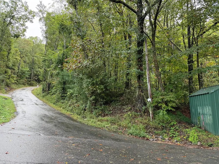 Lot 12 Rainbow Ridge, Hiawassee, GA 30546 - Image #3