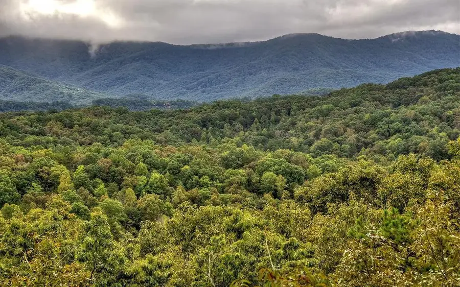 848 Maggie Chapman Road, Cherry Log, GA 30522 - Image #3