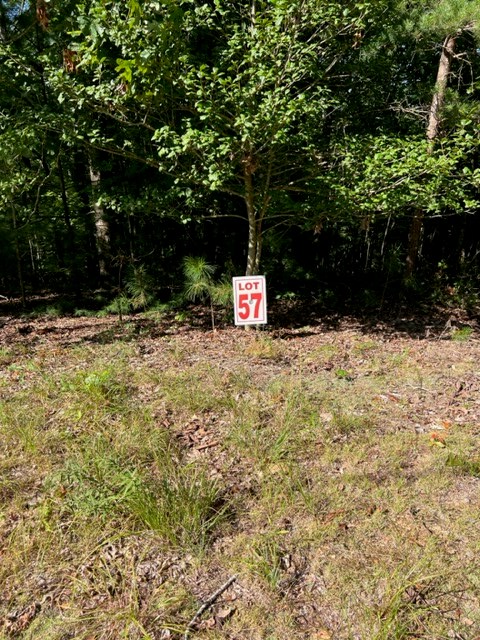 LT 57 Honeysuckle Way, Ellijay, GA 30540 - Image #3