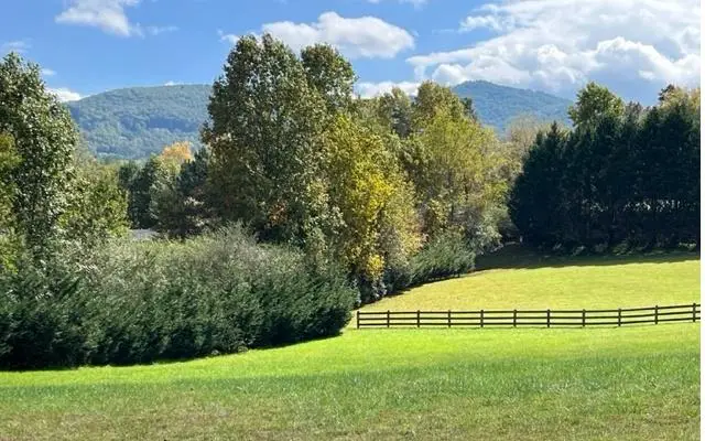 105 Meadow Brooke Lane, Young Harris, GA 30582 - Image #2