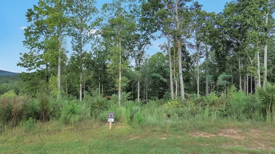272 Highgrove Drive, Talking Rock, GA 30175 - #2