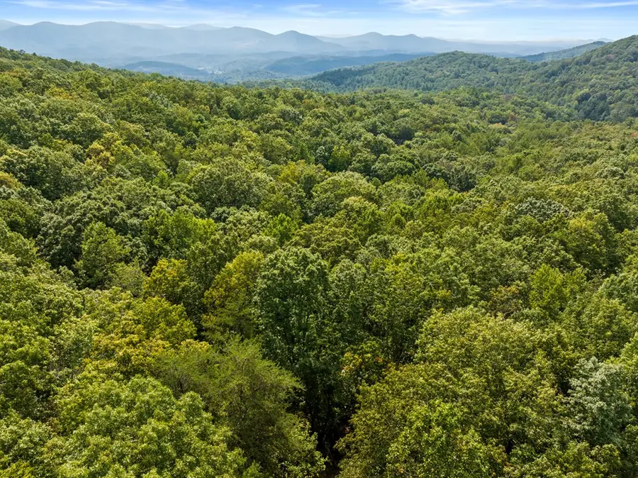 23 B Lake View Road, Cherry Log, GA 30522 - #3