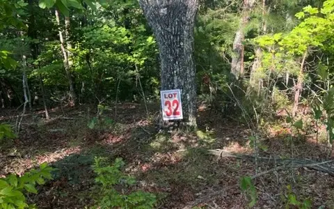 LT 33 Buck Creek Road, Ellijay, GA 30540 - Image #2