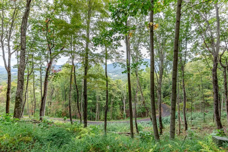 Lot 20 Buckhead Hills, Hiawassee, GA 30546 - #2