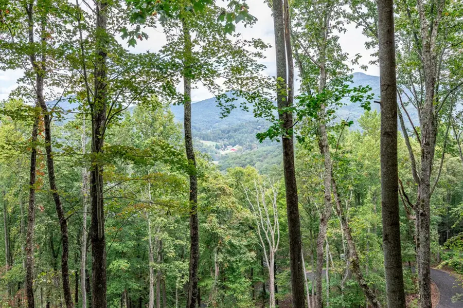 Lot 20 Buckhead Hills, Hiawassee, GA 30546 - #3
