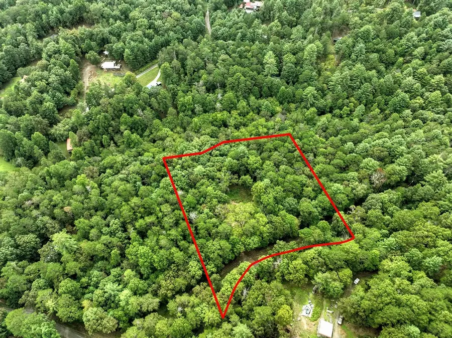 Lot 45 Synacia Drive, Mineral Bluff, GA 30559 - Image #3