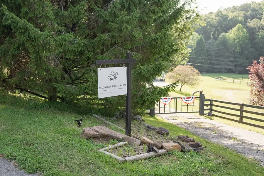 328 Black Ankle Creek Road, Cherry Log, GA 30522 - Image #2