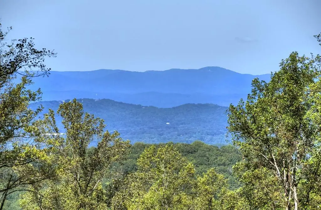 LT 296 Andes Ridge, Ellijay, GA 30536 - #1