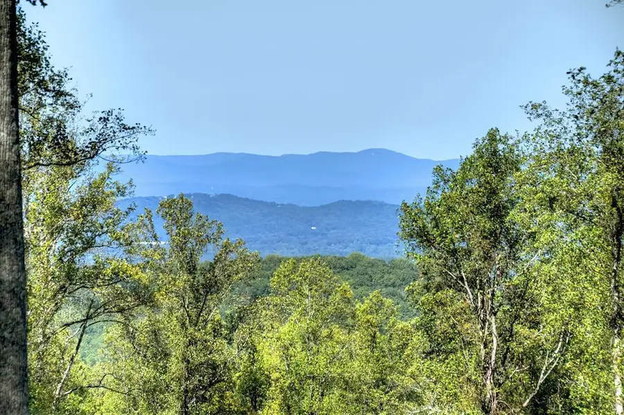 LT 296 Andes Ridge, Ellijay, GA 30536 - #2