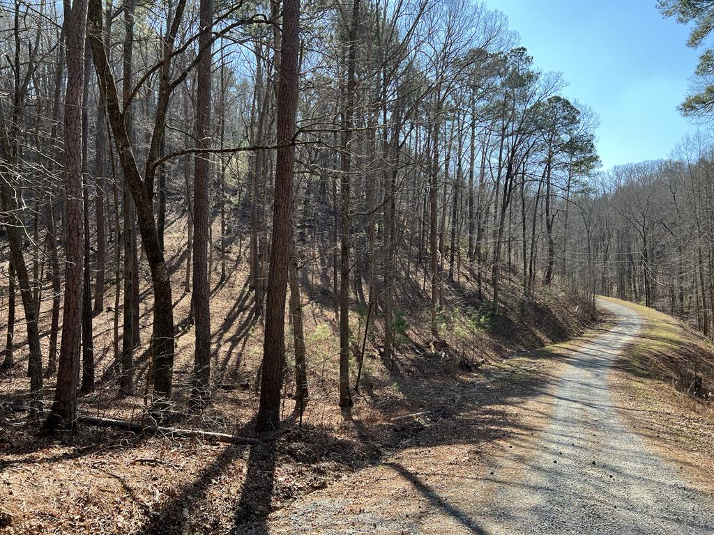 1243R Onyx Court, Ranger, GA 30734 - #1