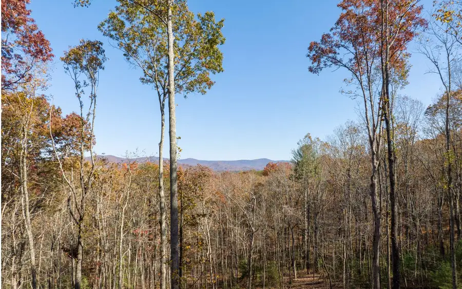 19R Settlement Trail, Ellijay, GA 30536 - Image #3
