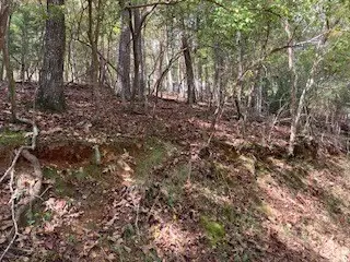 #3