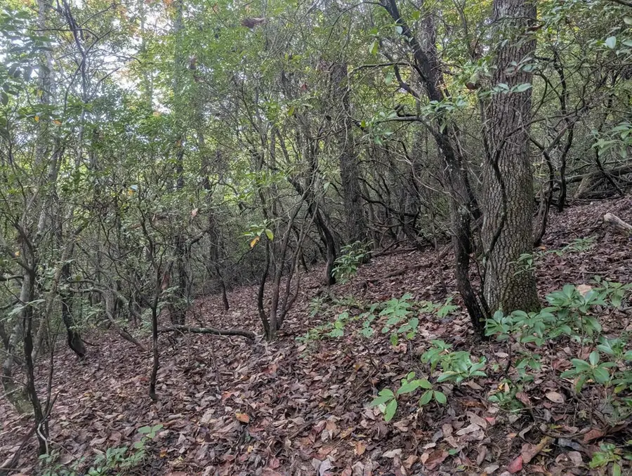#3