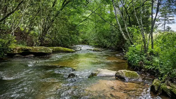 138 Wolf Creek Estates, Mineral Bluff, GA 30559