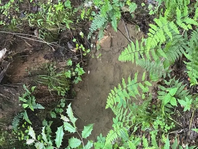 0 Gumlog Road, Young Harris, GA 30582 - #2