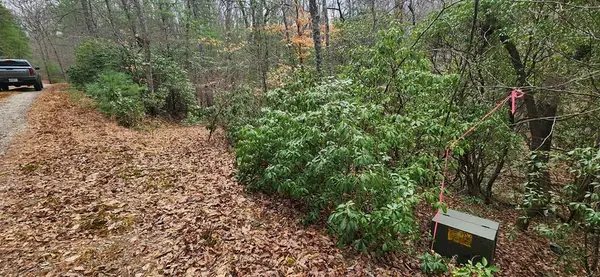 Lot 18 Gray Fox Trail, Blairsville, GA 30512