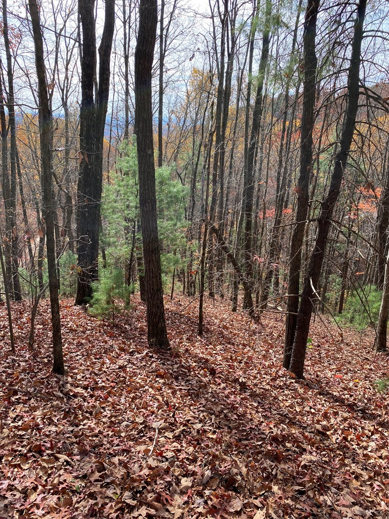 L334 335 Brushy Top Drive, Ellijay, GA 30540 - #2