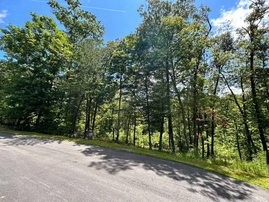 Lot 195 Trails End Way, Mineral Bluff, GA 30559 - #3