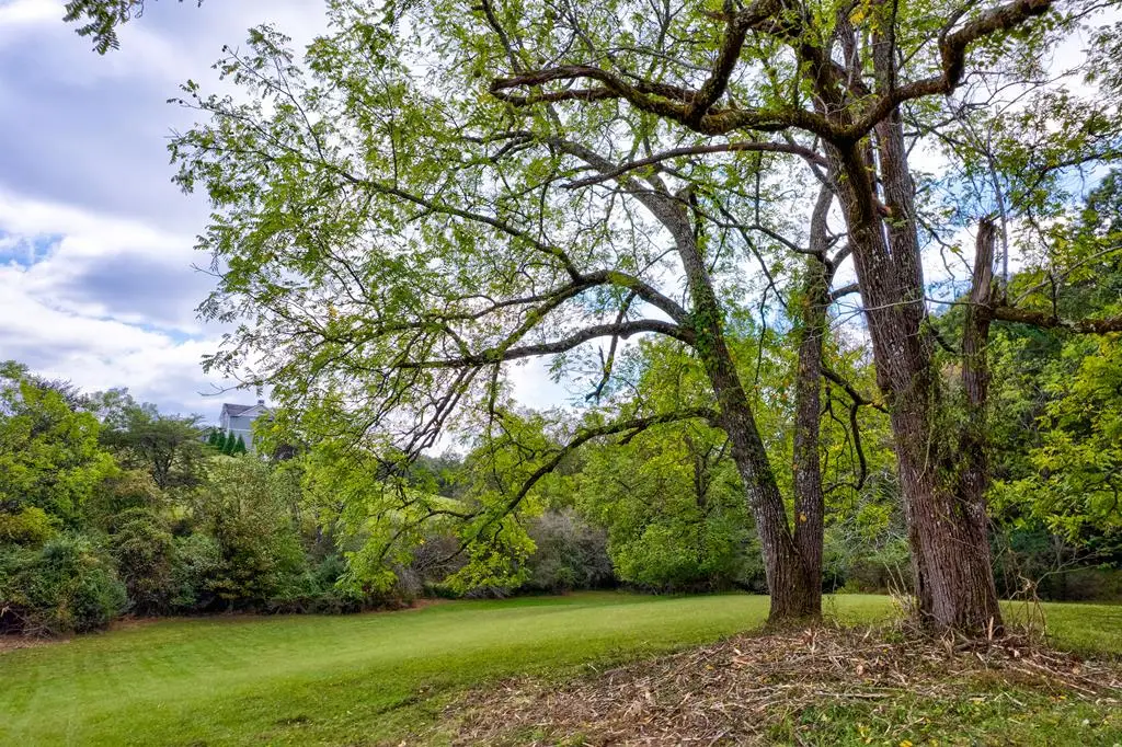 6.89Ac Fox Fields, Blairsville, GA 30512 - Image #1