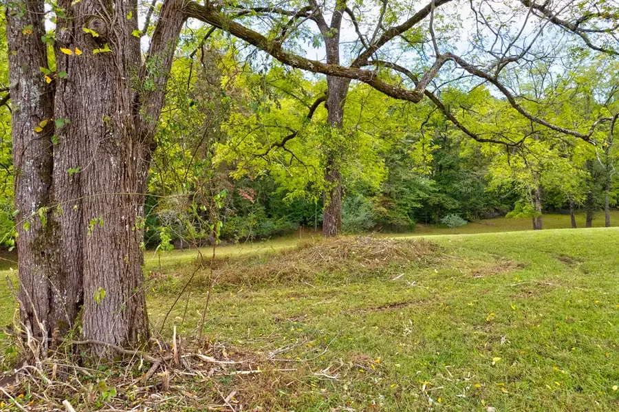 6.89Ac Fox Fields, Blairsville, GA 30512 - Image #3