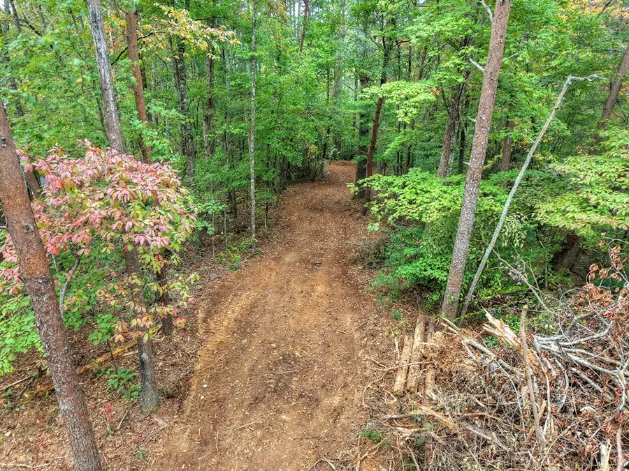 4.32 Scenic Drive, Blue Ridge, GA 30513 - Image #3