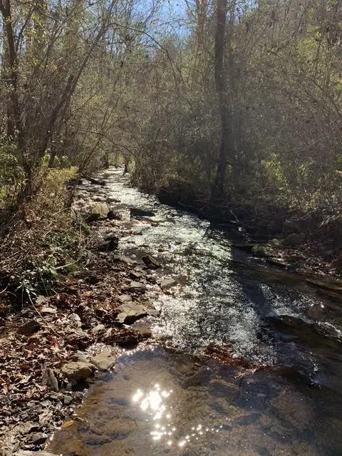 Lot 95 Cedar Road, Ellijay, GA 30540 - #1