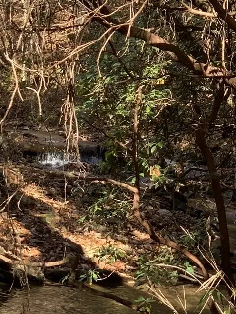 Lot 95 Cedar Road, Ellijay, GA 30540 - #3